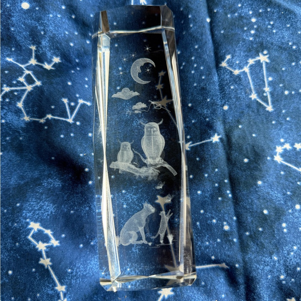 Laser Cut Etched Crystal Glass Owl & Cat Paper Weight